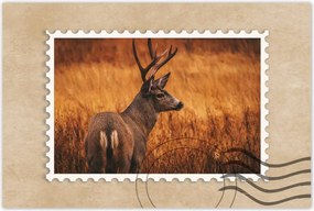 Poszterek 120x80 Szarvas a természetben Vadászat