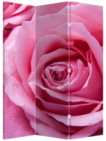 Paraván - Rózsa (126x170 cm)
