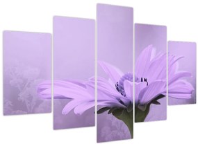 Kép - Ibolya virág (150x105 cm)