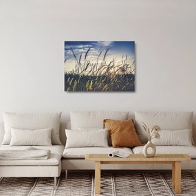 Réti virágok képe (üvegen) (70x50 cm)