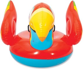 Papagáj rider 203 x 132 cm