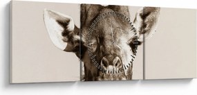 Kép - Zsiráf portré, vintage (órával) (90x30 cm)