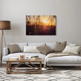 A mező képe naplementekor (90x60 cm)