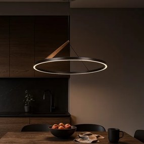 Rabalux 72352 - RENARA kábeles LED függőlámpa LED/40W/230V 3000K