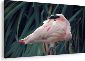 Kép - Flamingó (90x60 cm)