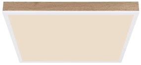 Globo 416080WWD2-CCT - LED Dimmelhető mennyezeti lámpa DORO LED/24W/230V 2700-6500K + + távirányító