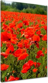 Vászonkép 80x120 Tenger mak