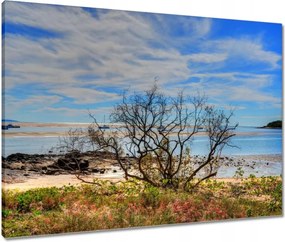 Vászonkép 80x60 Kilátás a tengerpartról