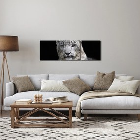 Kép - Snow Leopard (órával) (90x30 cm)