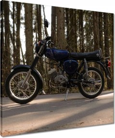 Vászonkép 50x50 Simson hármas villogókkal