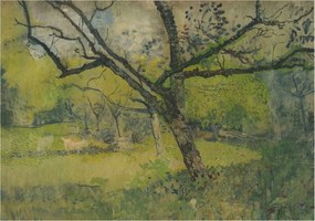 Stílusos Dekoratív Fotótapéta Flizelin Zöld tájkép 208x146 Ragasztó