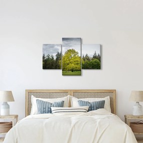 Egy zöld fa képe a mező közepén (90x60 cm)