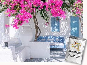 Fotótapéta Flizelina Város Utca Görögország Ajtó Virágok Pad 350x250 ragasztó