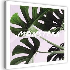 Gario Vászonkép Egzotikus levelek - monstera Méret: 30 x 30 cm