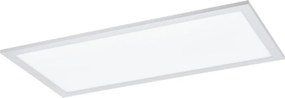 Eglo 55149 - LED RGBW fényerőszabályozható felületre szerelt panel LED/12W/230V 30x60 cm fehér +távirányító