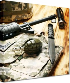Vászonkép 20x20 Amerikai hadsereg teknős szett