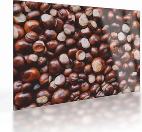 Üveg kép - Érett gesztenye (70x50 cm)