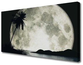 Canvas kép Éjszakai hold táj Palm 100x50 cm