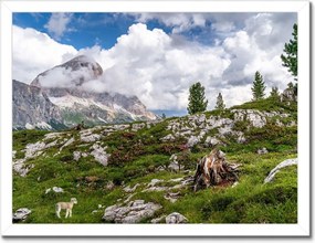 Poszterek keretben 40x30 Bárány a hegyekben Kilátás