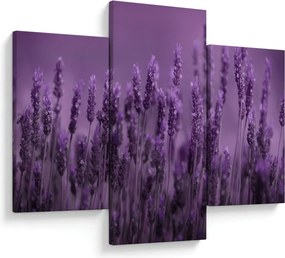 Kép - Levendula (90x60 cm)