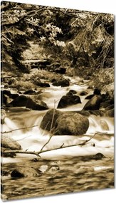 Vászonkép 80x120 Tátra Lengyel hegyek Kilátás