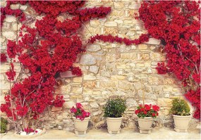 Bugenwilla tapéta Piros Virágok Kőfal Napsütötte kert 416x254+ragasztó