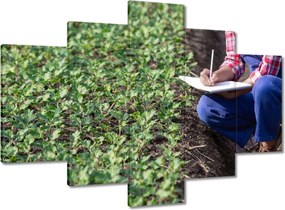 Festmények 150x105 Modern mezőgazdaság