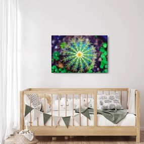 Kaktusz kép (90x60 cm)