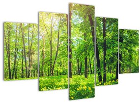 Kép - Tavaszi lomberdő (150x105 cm)