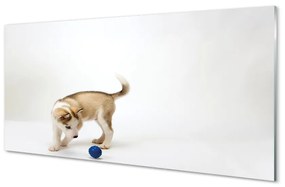 Akrilkép Játszott a kutyával 100x50 cm