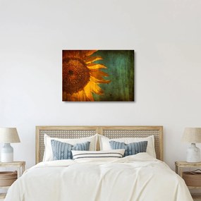 Kép - napraforgó (üvegen) (70x50 cm)
