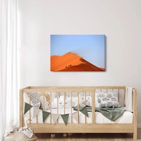 Egy homokos sivatag képe (90x60 cm)