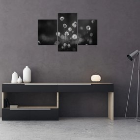 Kép - Pamutfű a réten (90x60 cm)