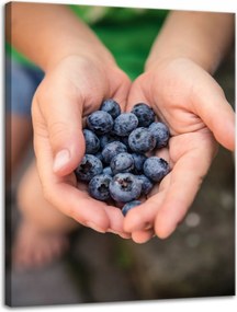 Vászonkép Konyha Áfonya Erdei gyümölcsök Természet 30x40 cm