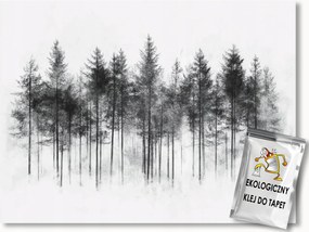 Fotótapéta Flizelina Grafika Természet Tájkép Erdő Fenyőfák 200x140 ragasztó