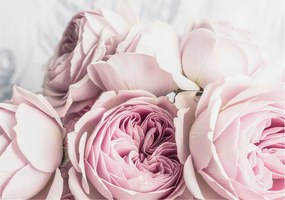 Flizelina fotótapéta Nappaliba és Hálószobába Rózsaszín rózsák 208x146 Ragasztó