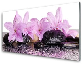 Modern üvegkép Víz liliom virágok Rosa 100x50 cm