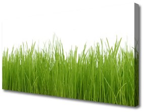 Vászonkép falra Grass Nature Plant 100x50 cm