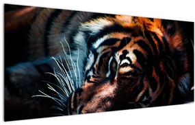 Egy fekvő tigris képe (120x50 cm)