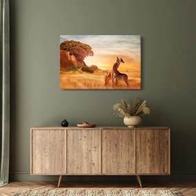 Kép - Zsiráfok Afrikában (90x60 cm)