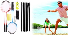 Tollaslabda szett hálóval