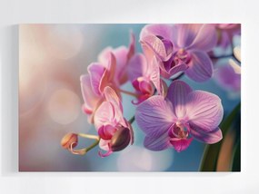 Vászonkép Canvas Virág Orchidea Természet Zen 120x80
