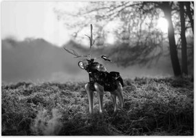 Poszterek 100x70 Szarvas Modern művészet