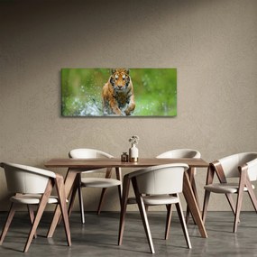 Kép - Futó tigris (120x50 cm)