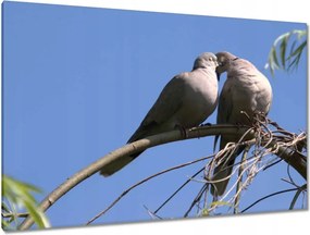 Festmények 120x80 Szerelem Érzés Párkapcsolat