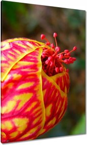 Vászonkép 70x100 Nőnap Ajándék Love