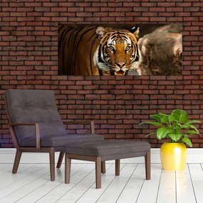 Tigris képe (120x50 cm)