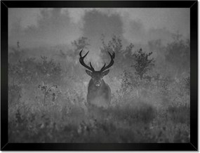 Poszterek keretben 40x30 Szarvas a ködben