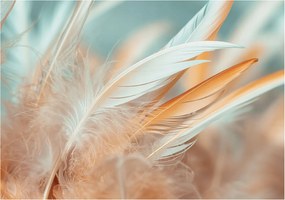 Flizelina fotótapéta Nappaliba és Hálószobába Finom tollak 208x146
