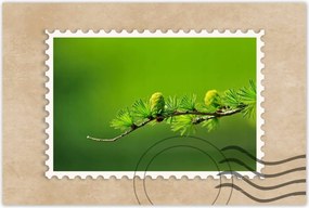 Poszterek 60x40 Fa FĂĄk KilĂĄtĂĄs